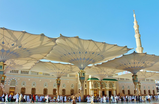Saudi Arabia Workforce Recruitment Project